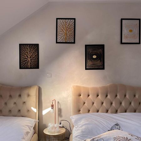 Casa Cu Pitici Konuk evi Vama  Dış mekan fotoğraf