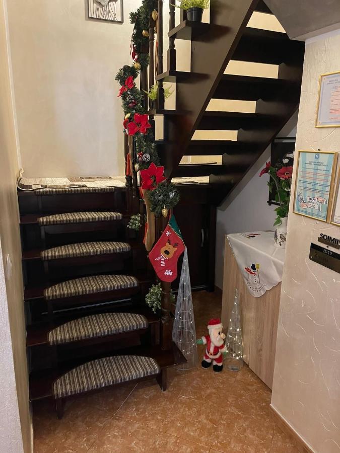 Casa Cu Pitici Konuk evi Vama  Dış mekan fotoğraf