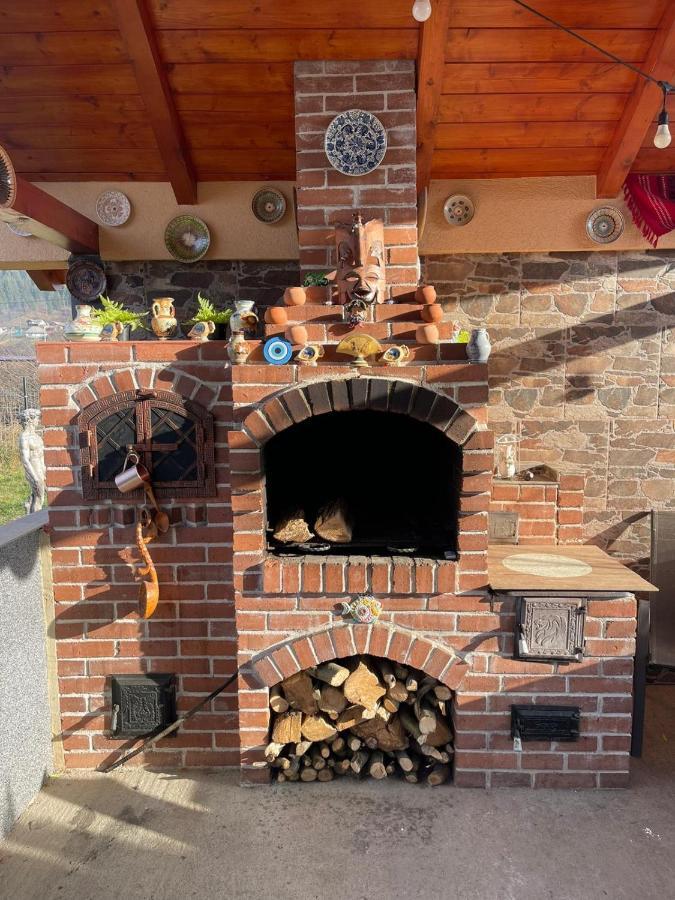 Casa Cu Pitici Konuk evi Vama  Dış mekan fotoğraf