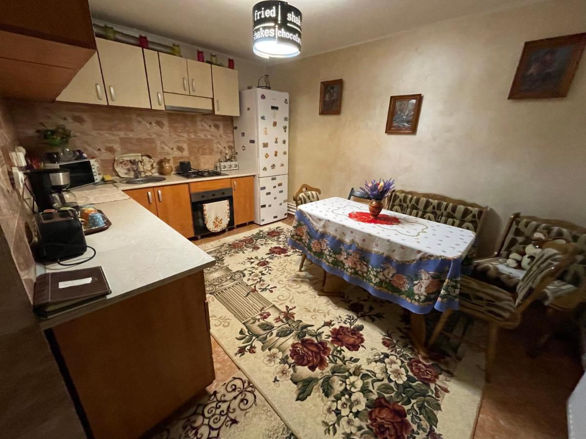 Casa Cu Pitici Konuk evi Vama  Dış mekan fotoğraf