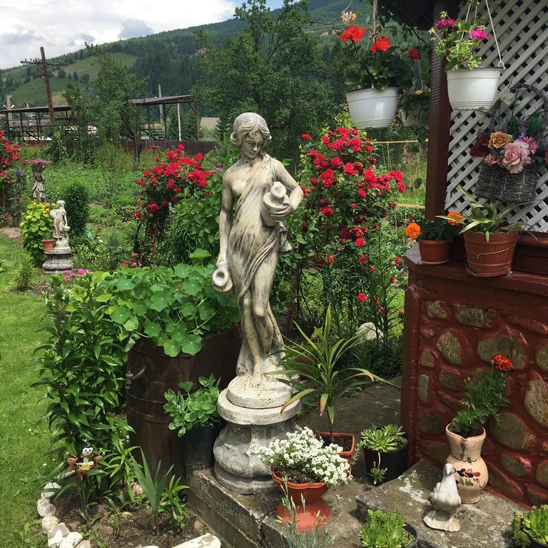Casa Cu Pitici Konuk evi Vama  Dış mekan fotoğraf