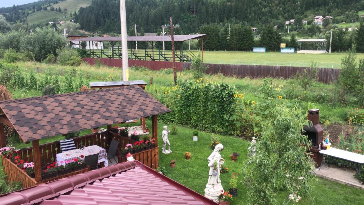 Casa Cu Pitici Konuk evi Vama  Dış mekan fotoğraf