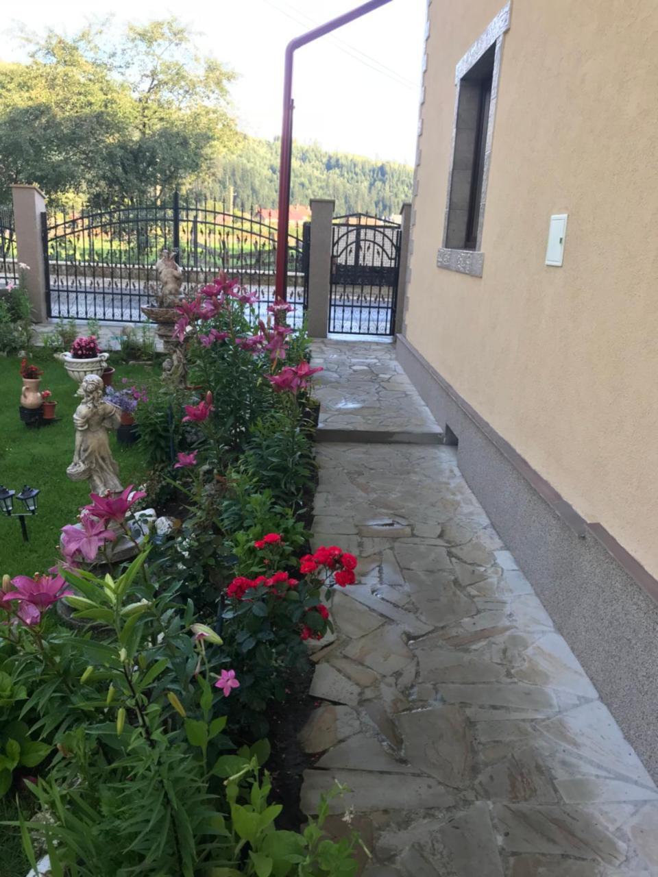 Casa Cu Pitici Konuk evi Vama  Dış mekan fotoğraf