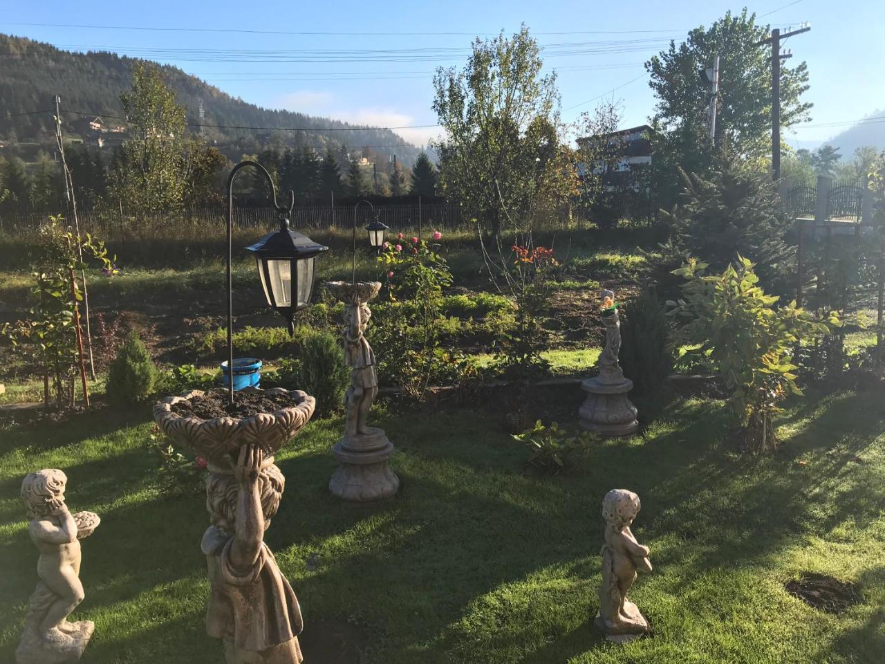 Casa Cu Pitici Konuk evi Vama  Dış mekan fotoğraf
