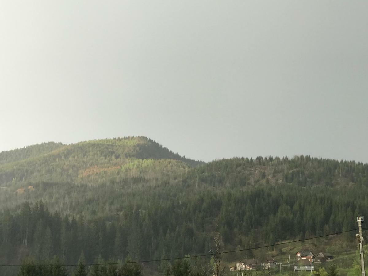 Casa Cu Pitici Konuk evi Vama  Dış mekan fotoğraf